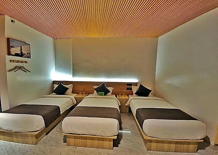 Terra Hotel